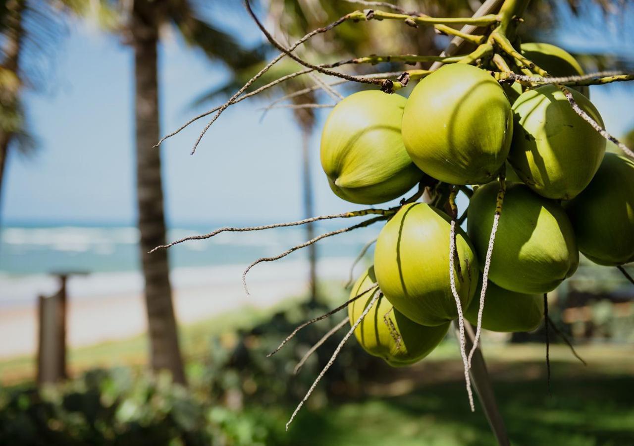 Flat Guarajuba Beira Da Praia Pe Na Areia Exteriér fotografie